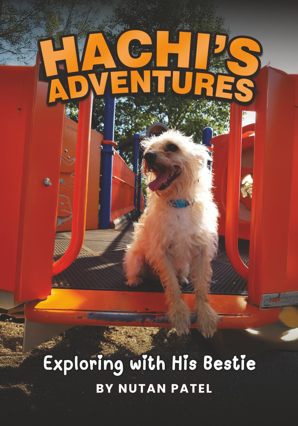 Hachi's Adventures: Exploring with His Bestie