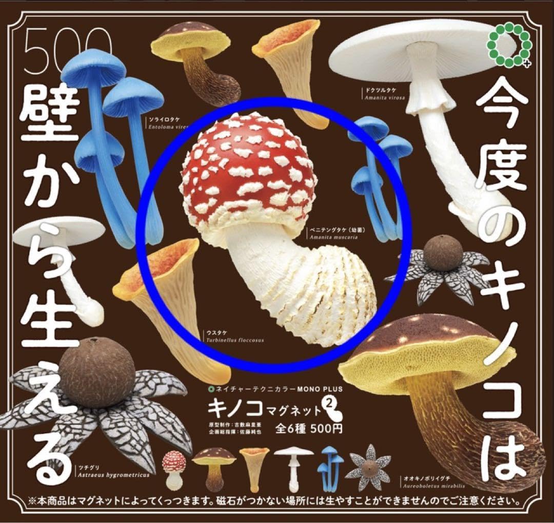 Amazon | NTC MONO＋ キノコマグネット2 ベニテングタケ（幼菌