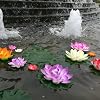 Ipetboom Floating Pool, Flowers, Artificial Flowers, Lotus Flowers, Water Lily Pads, 14 Pieces, Pond, Pool, Lotus, Ornament, For Home, Patio, Garden, Aquarium, Wedding, Party, Holiday, Decoration