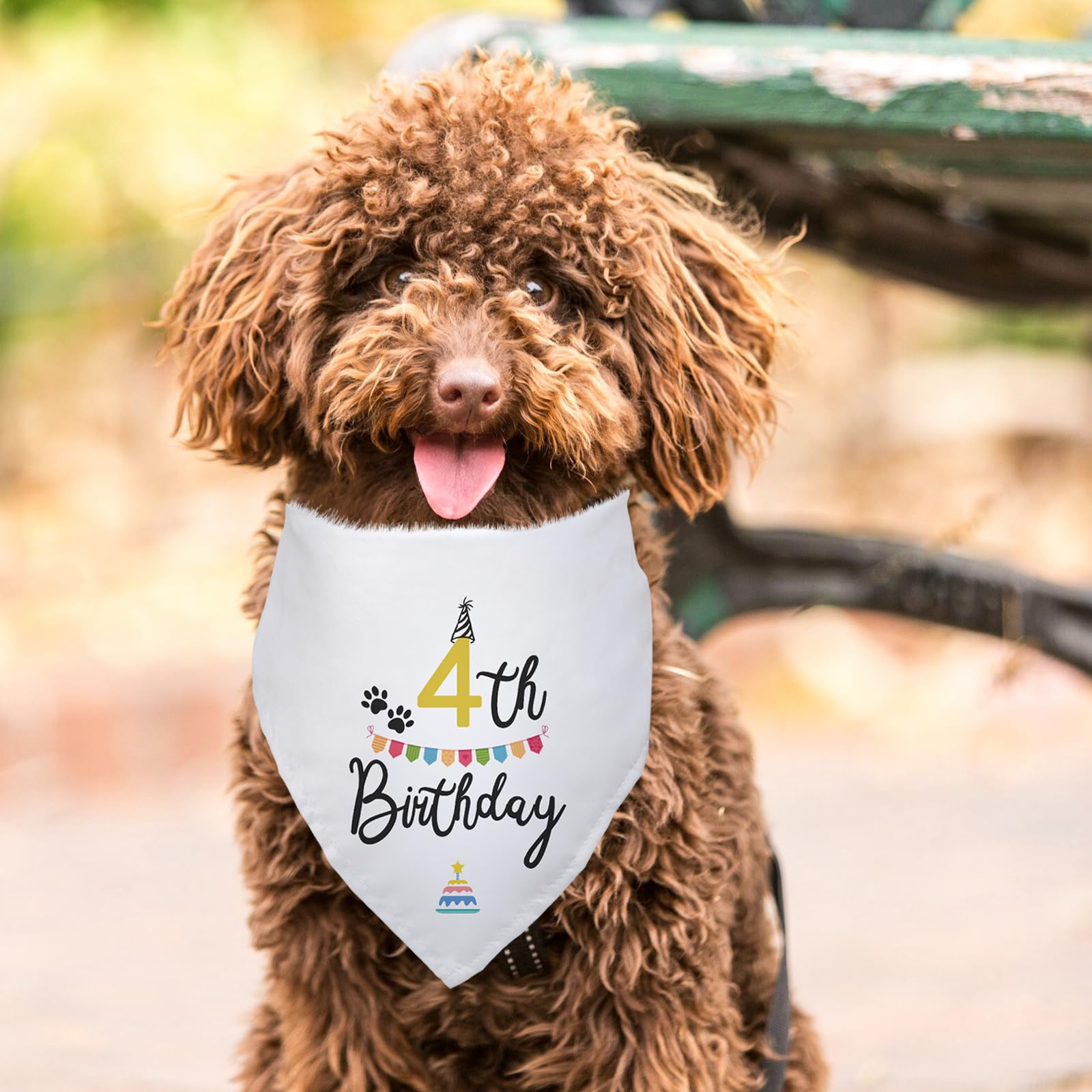 Hunde-Geburtstags-Halstuch "Happy 4th Birthday" – Baumwolle, 66x31 Cm, Waschbar, Für Partys & Fotos