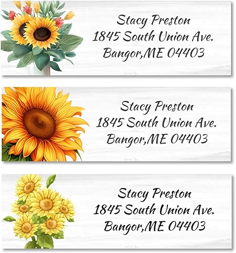 Etiquetas personalizadas para dirección de retorno 11 diseños, juego de 250 unidades, tamaño pequeño de 34 x 2-12 pulgadas, etiquetas autoadhesivas