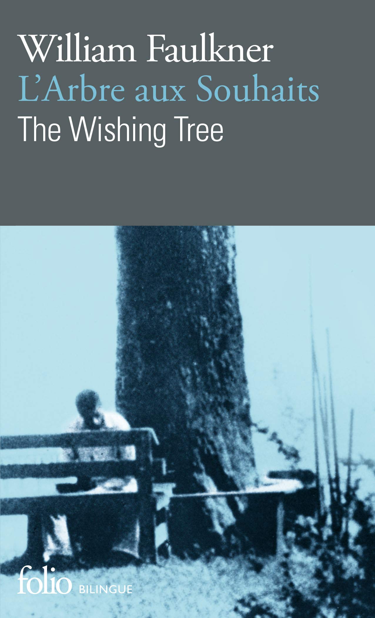 L'Arbre Aux Souhaits (Folio Bilingue): A42919