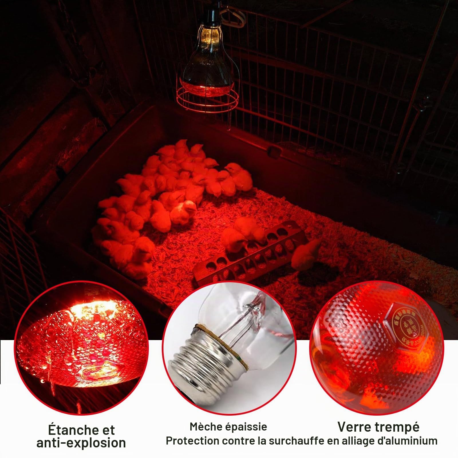 Lampe chauffante à lumière rouge, 150 W Chauffant Poussin pour poulaillers, lampe chauffante pour poulailler, lampe chauffante pour animaux, lampe infrarouge thermostatique automatique, pour poussins