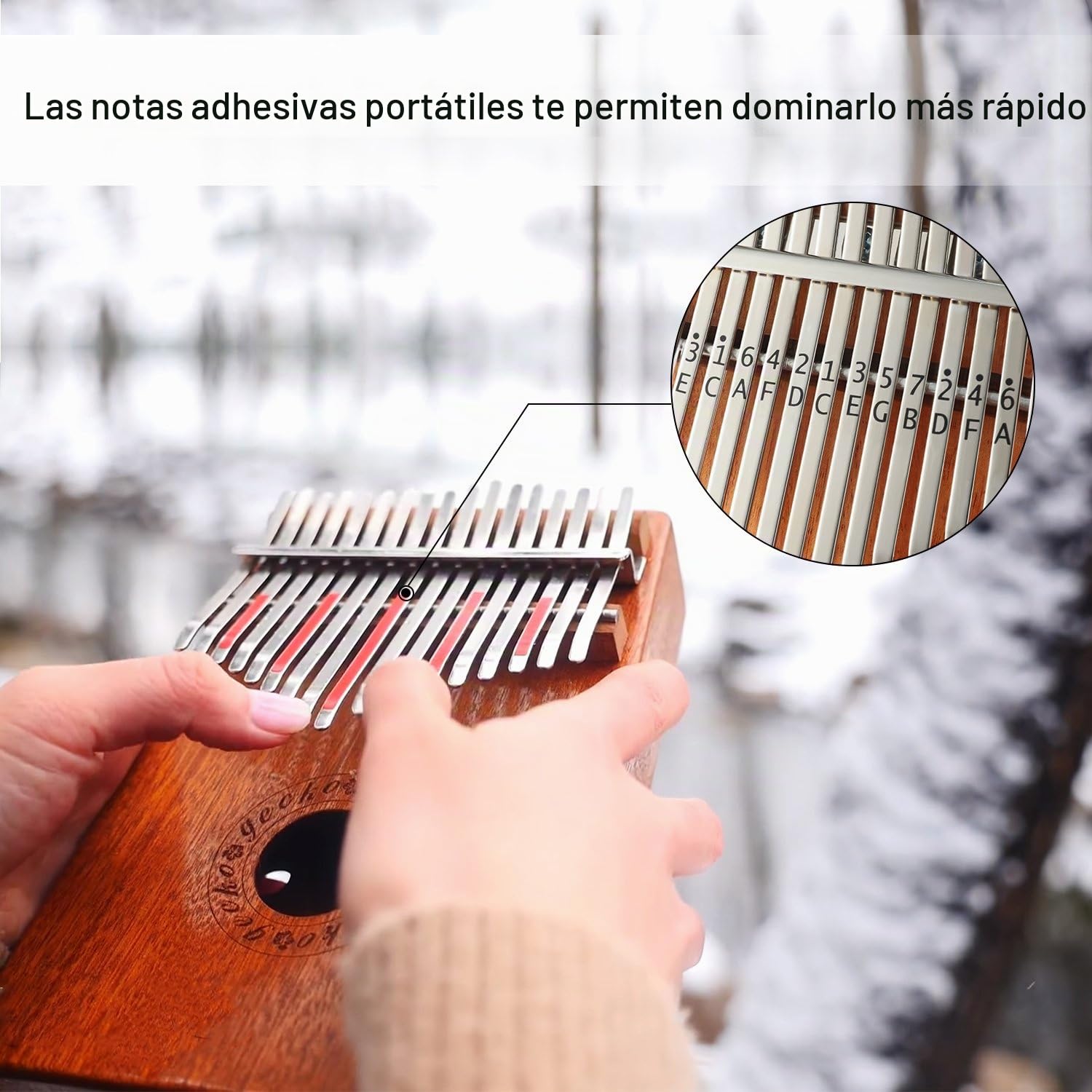 GECKO Kalimba 17 Keys Thumb Piano builts-en caja de protección EVA de alto rendimiento, martillo de afinación e instrucción de estudio.