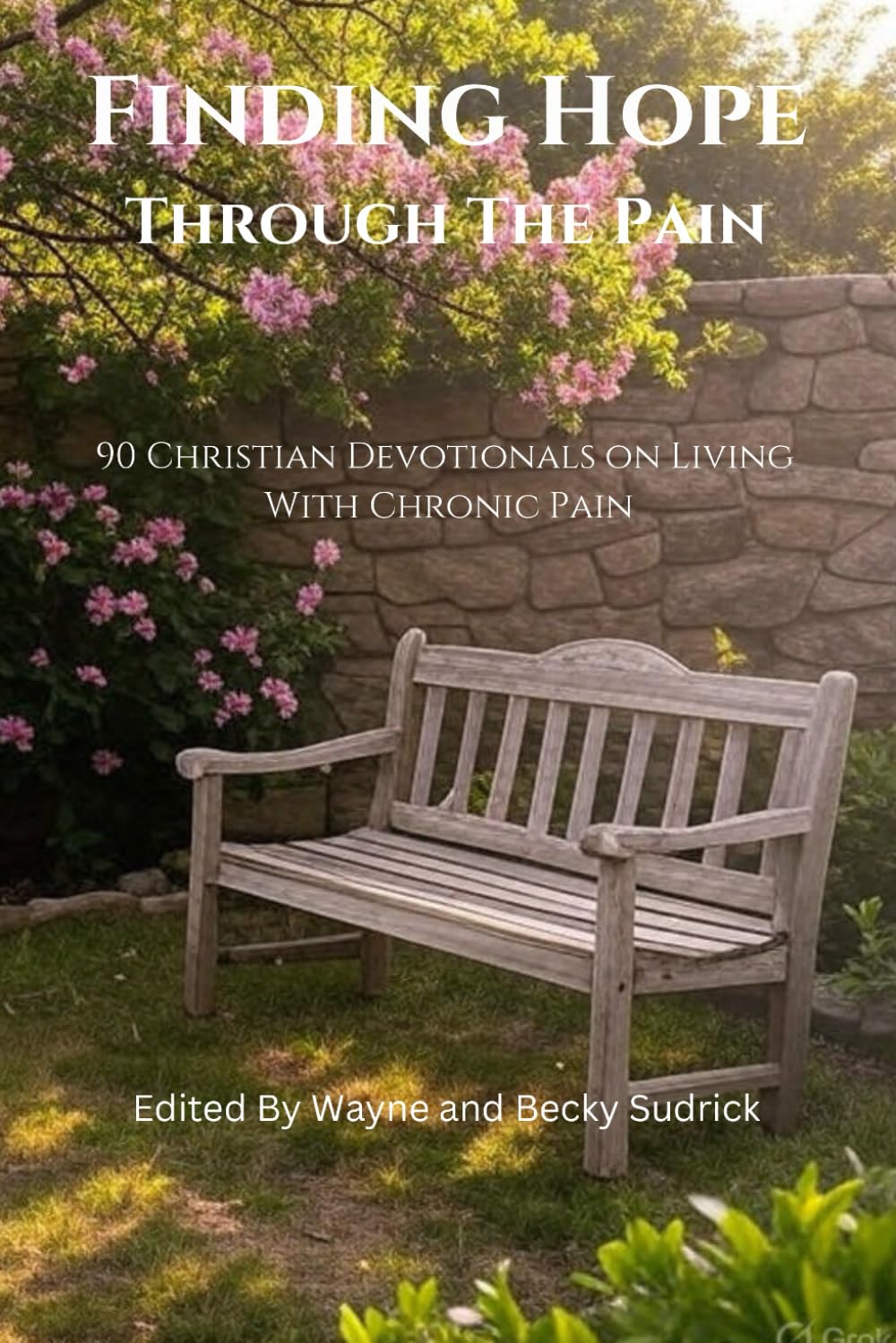 Finding Hope Through the Pain: 90 Christian devotionals on living with chronic pain