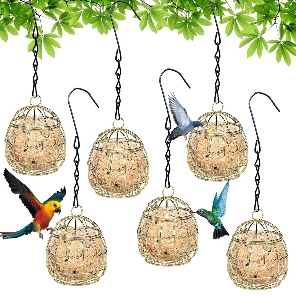 FENYW 6 Pcs Comedero Colgante para Pájaros Salvajes, Comedero para Pájaros Bolas, Comedero Pájaros Bolas de Grasa con Ganchos, Comedero para Pájaros Pequeños para Balcón Jardín