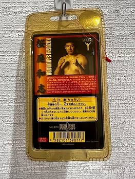 Amazon.co.jp: 桜庭和志 フィギュア 2体セット PRIDE 格闘技 桜庭