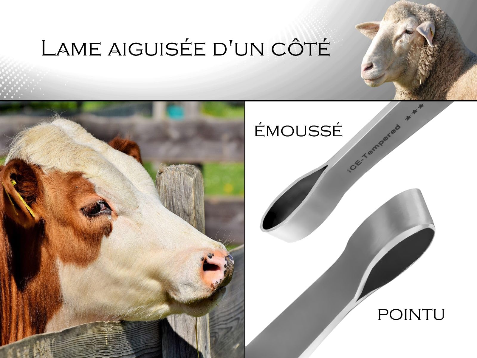 Couteau à Sabot Professionnel Acier Inoxydable Avec Poignée Ergonomique Pour Chevaux Et Vaches
