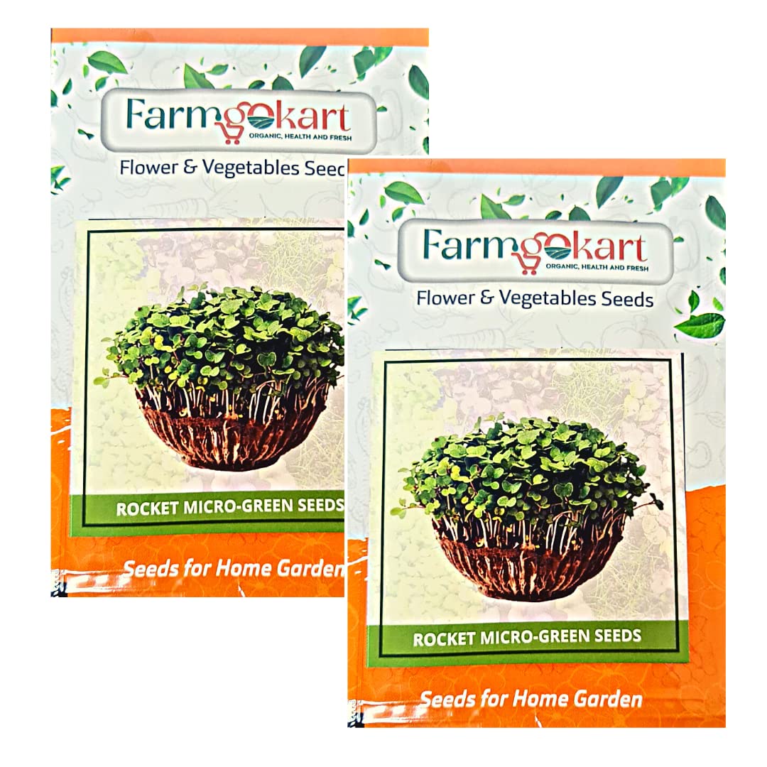 Farmgokart | 2 Packets of ROCKET/ARUGULA MICRO GREEN AND SPROUTING SEEDS | Approx 300 NO SEEDS Per packet | For Home Gardening Planting Farming| (B09PRDB9VH) Amazon Price History, Amazon Price Tracker