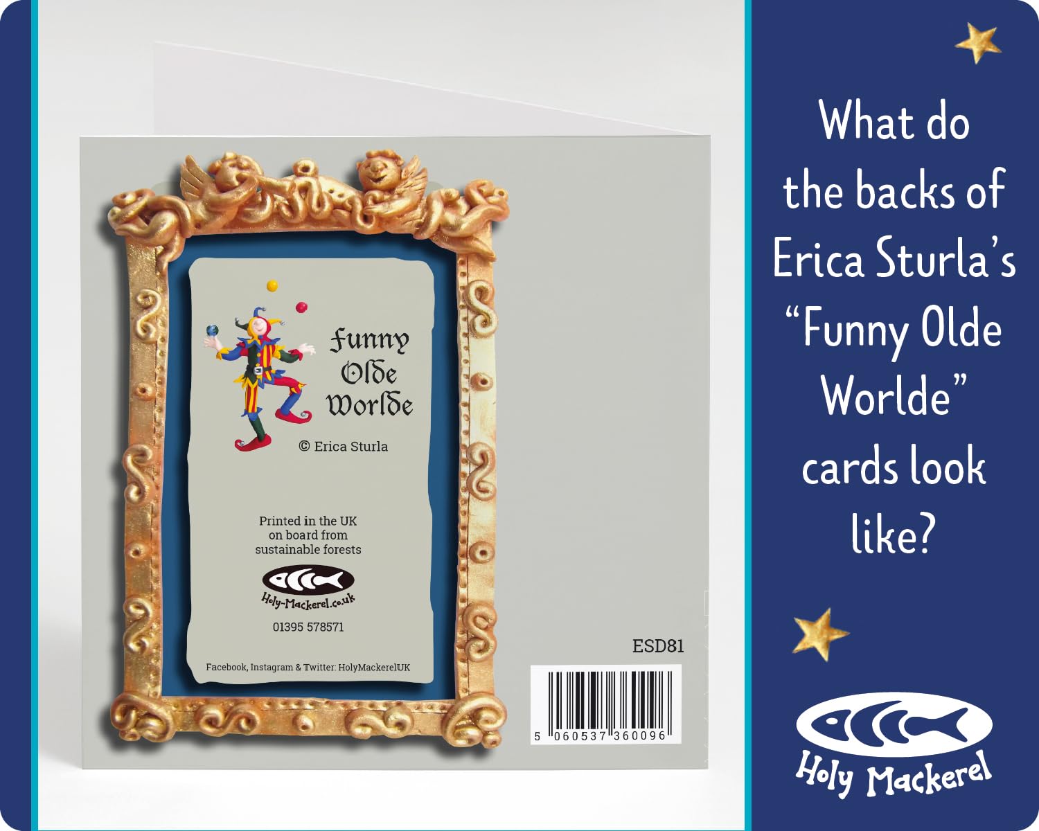 View 8
