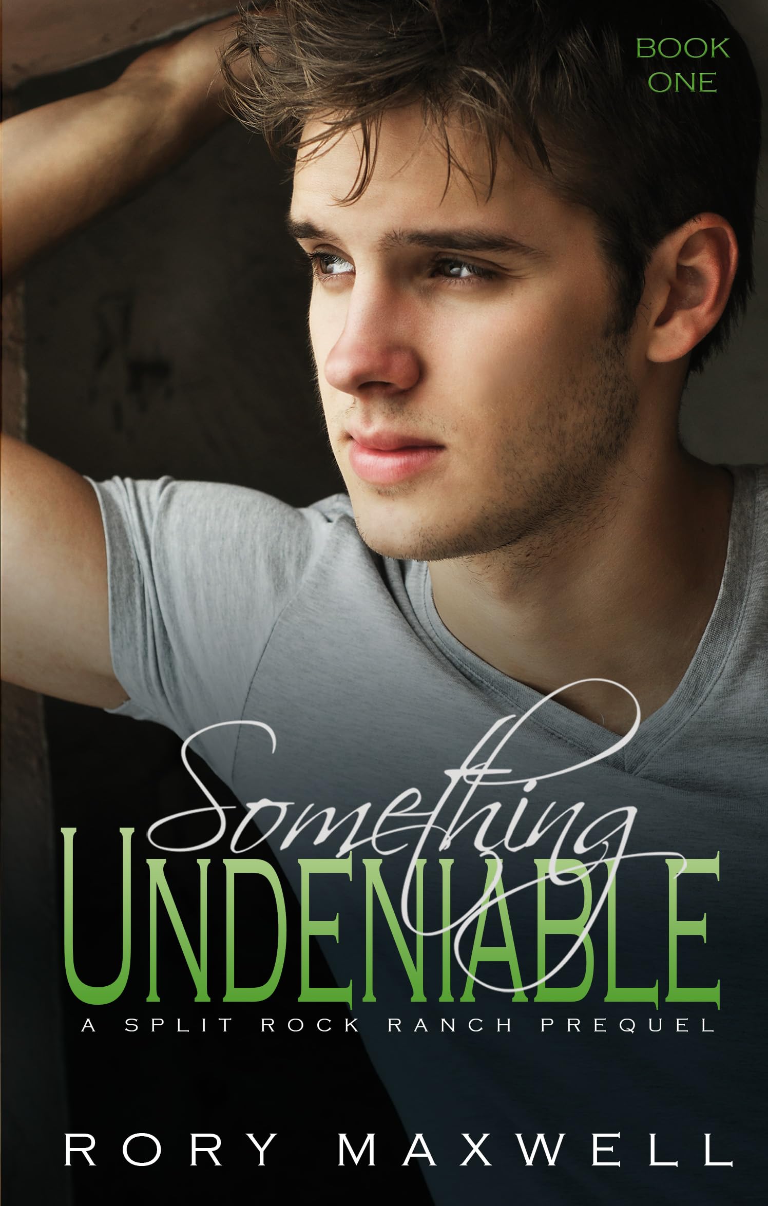 Something Undeniable: An MM Age Gap Romance (Split Rock Ranch Book 1)