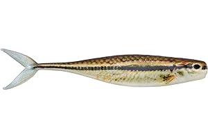 The Champ Swimmer: The Bait That Will Hook You