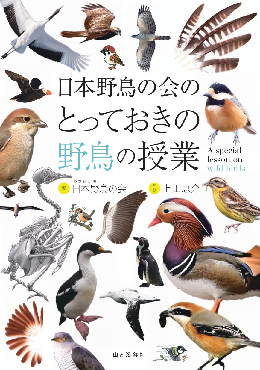 日本野鳥の会のとっておきの野鳥の授業 上田 恵介 日本野鳥の会 本 通販 Amazon 日本野鳥の会のとっておきの野鳥の授業 上田 恵介 日本野鳥の会 本 通販 Amazon
