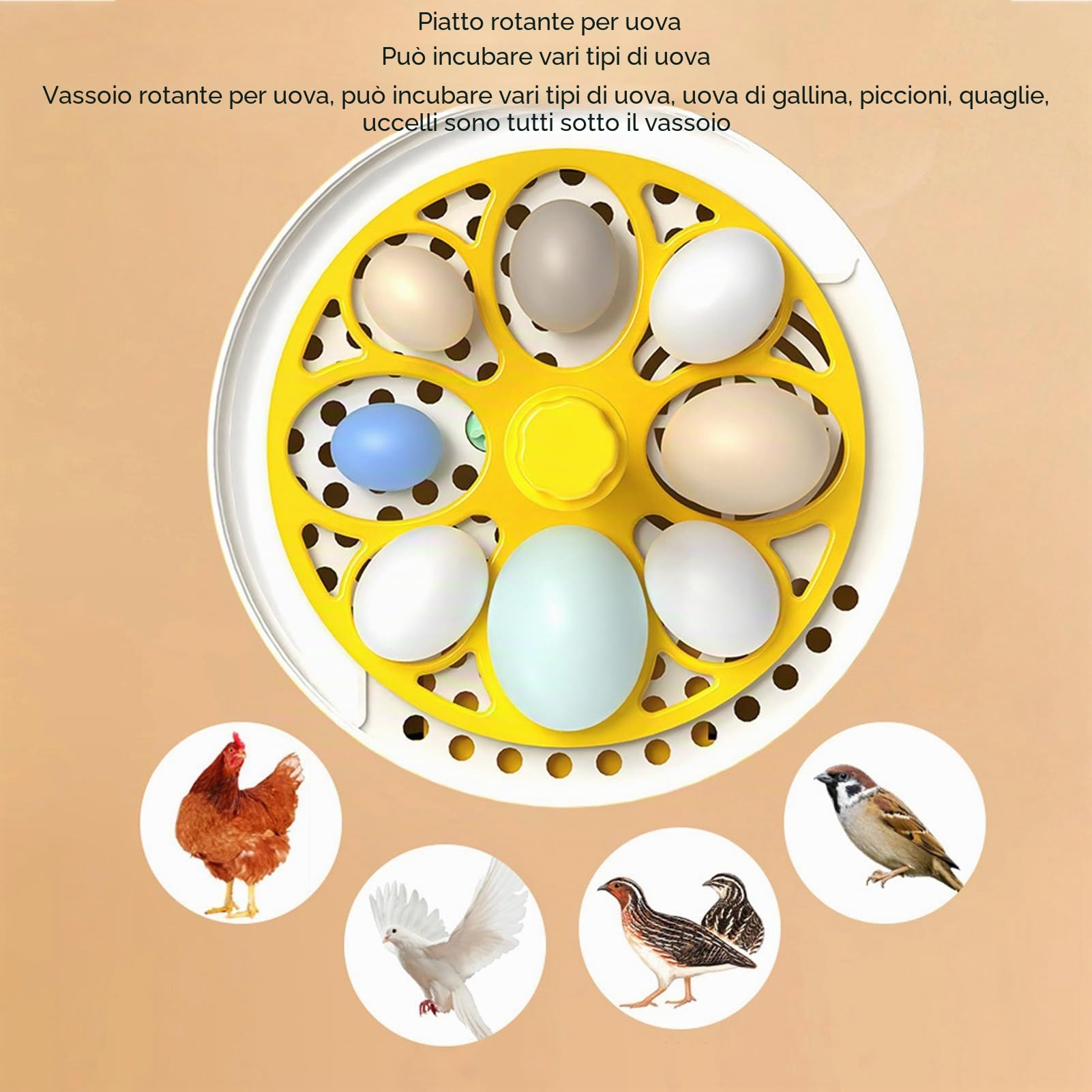 Mini Incubatrice per Uova: Controllo Automatico Umidità Temperatura mini incubatrice per uova 4 Uova, Silenziosa, Portatile, LED, 7W egg incubator Incubators