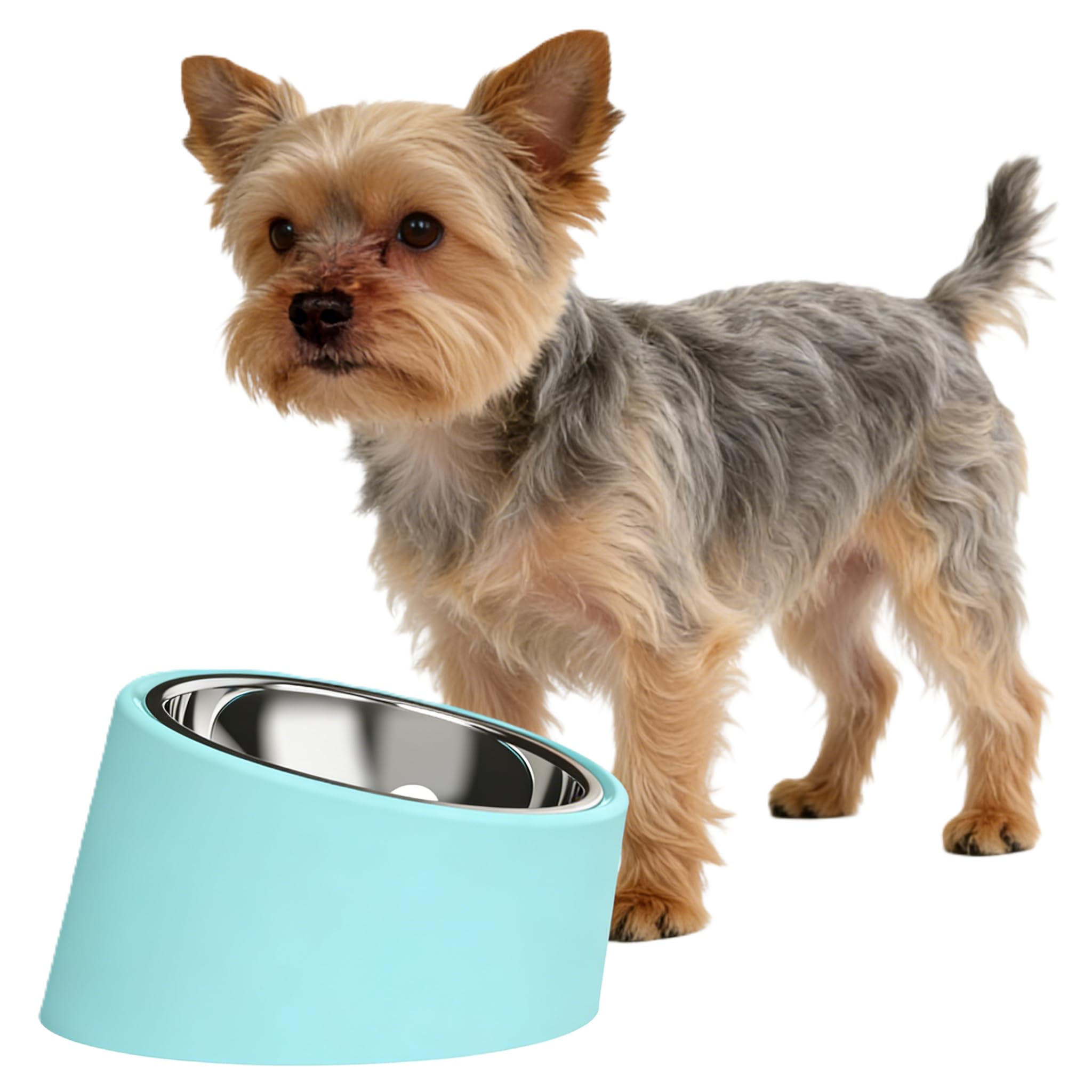 Small Light Blue 15° Slanted Dog Water Bowl - Elevated Raised Pet Dish with Removable Stainless Steel Inner Bowl, Ergonomic Tilt Design for Easy