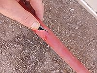 Review Image by Chrystal stout Chrystal stout