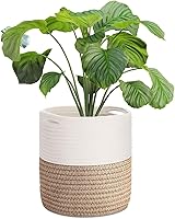 Vista 1 de Flexzion Cesta para plantas de interior – Cesta decorativa tejida de cuerda de algodón de 11 x 11 pulgadas, cesta redonda de almacenamiento con asas