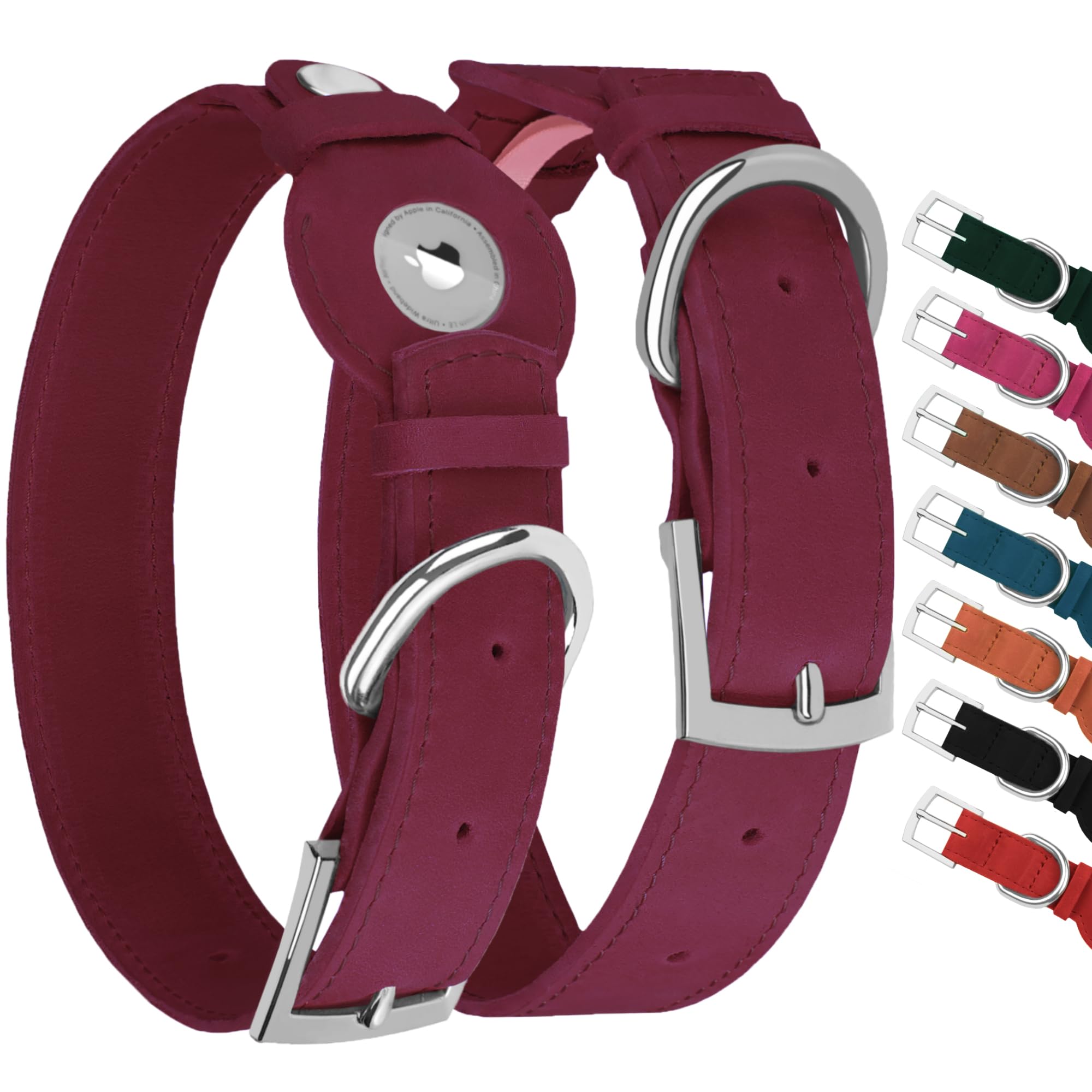 Collier Apple Air Tag pour chien pour les balades en forêt et promenades quotidiennes