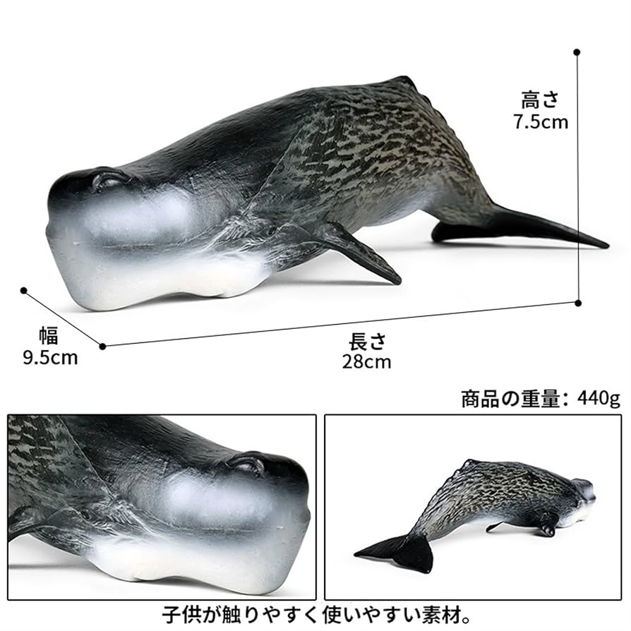 マッコウクジラ 2019年、奇跡の300頭オーバーのマッコウリバーよ再び