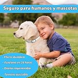 Ver la foto 3