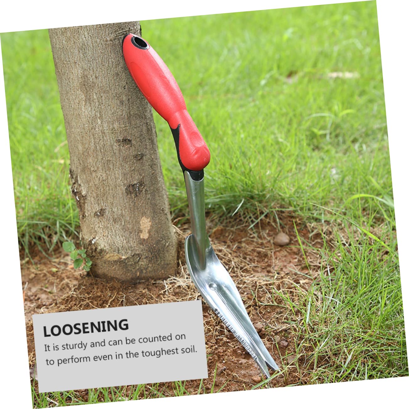 Toddmomy Estirpatore Manuale da Giardino in Ferro, Scavapatate e Allenta Terreno, Anello per Appendere, per Rimuovere Le Erbacce nel Giardino