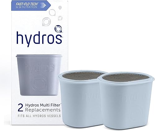 Hydros Paquete de 2 recambios de filtro, tecnología patentada Fast Flo, filtros de agua de repuesto para jarras Hydros y botellas, filtros de 40