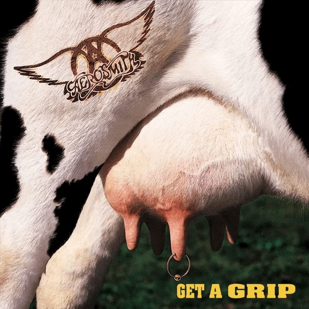 Amazon.co.jp: Get a Grip [Analog]: ミュージック