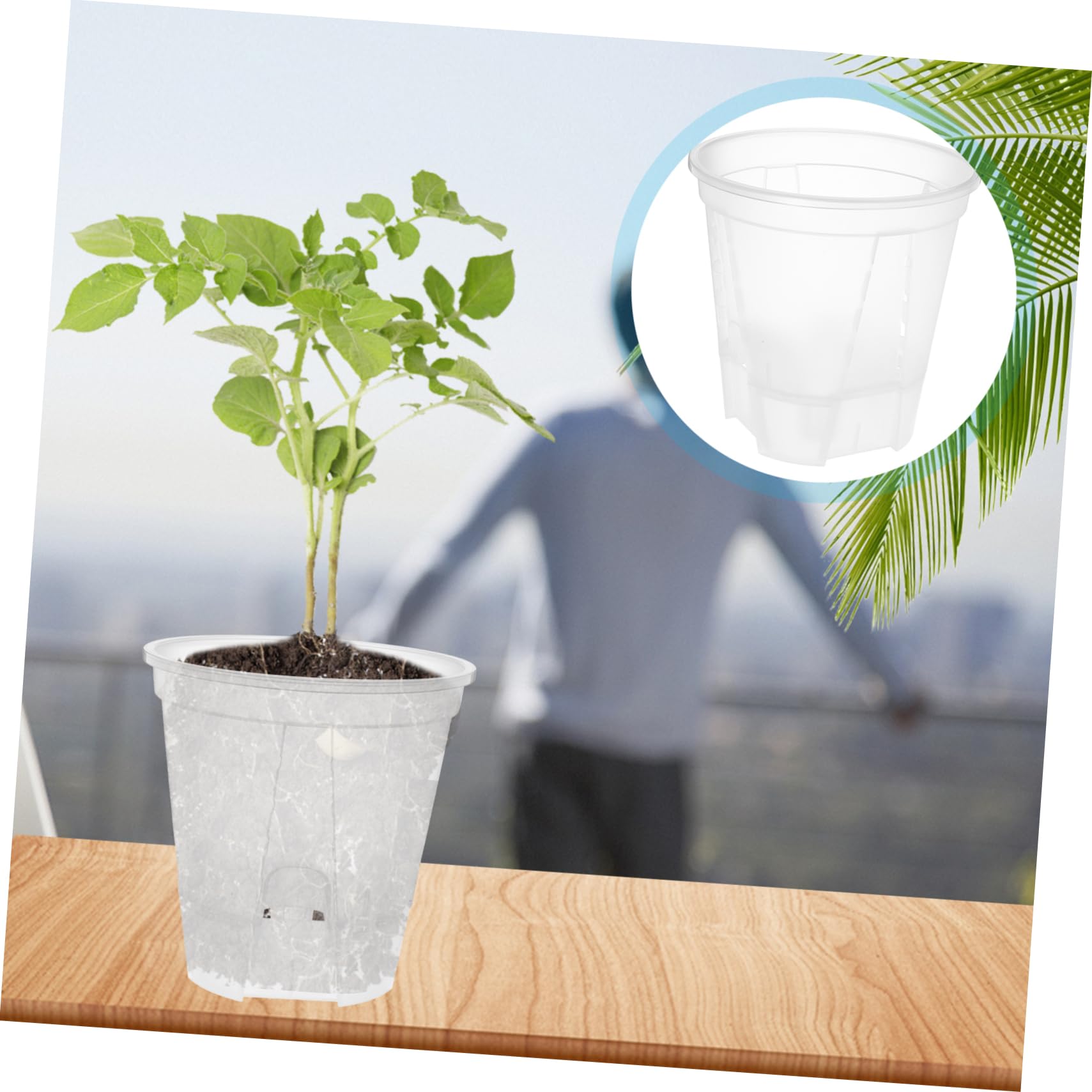 TOYANDONA 6 Pièces Pots de Fleurs Transparent Plastique Drainage pour Plantes Intérieur Pots de Jardinage Idéaux pour Plantes Vertes