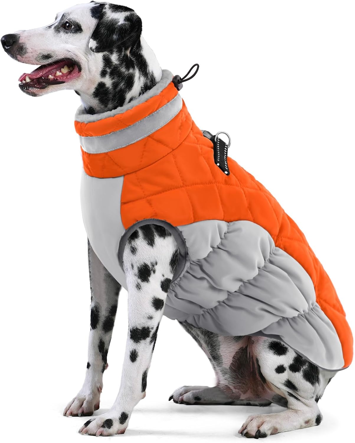 Amazon.com : AOFITEE Dog Coat, Warm Dog Jacket Dog Winter Coats ...