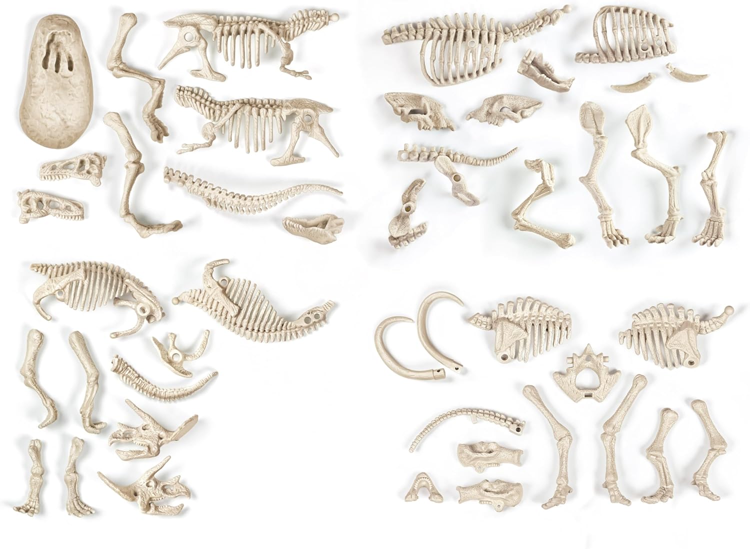 Clementoni | Archaeo Ludic Set – Prey and Predators for Children 7 Years+ | Scientific Gift | Paleontology Kit with Glow in The Dark Skeletons | Educational Activity | Augmented Reality