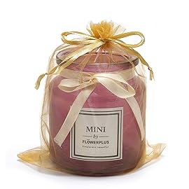 LOOKSGO 25 pcs 8x12 Inches Drawstring Organza Bags Wedding Party Favor Gift Candy Toys Makeup Pouches Gift Bag