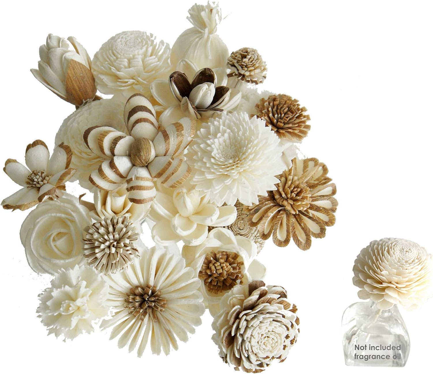 18 Mixed Sola Flower Reed Diffuser for Home Fragrance Aroma Oil by Plawanature.