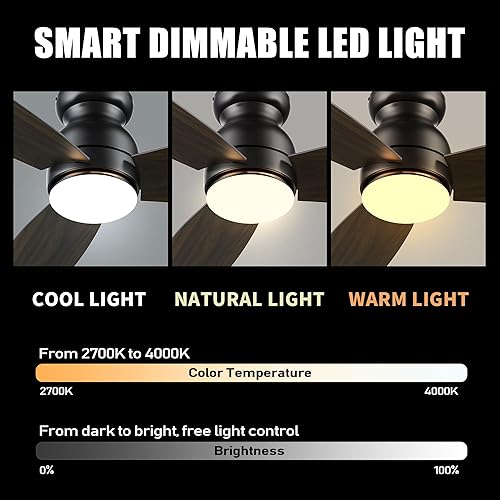 Miniatura 4 de CEME Ventilador de techo inteligente de 52 pulgadas con luces, DC de 10 velocidades, ventilador de techo de perfil bajo con control remoto,