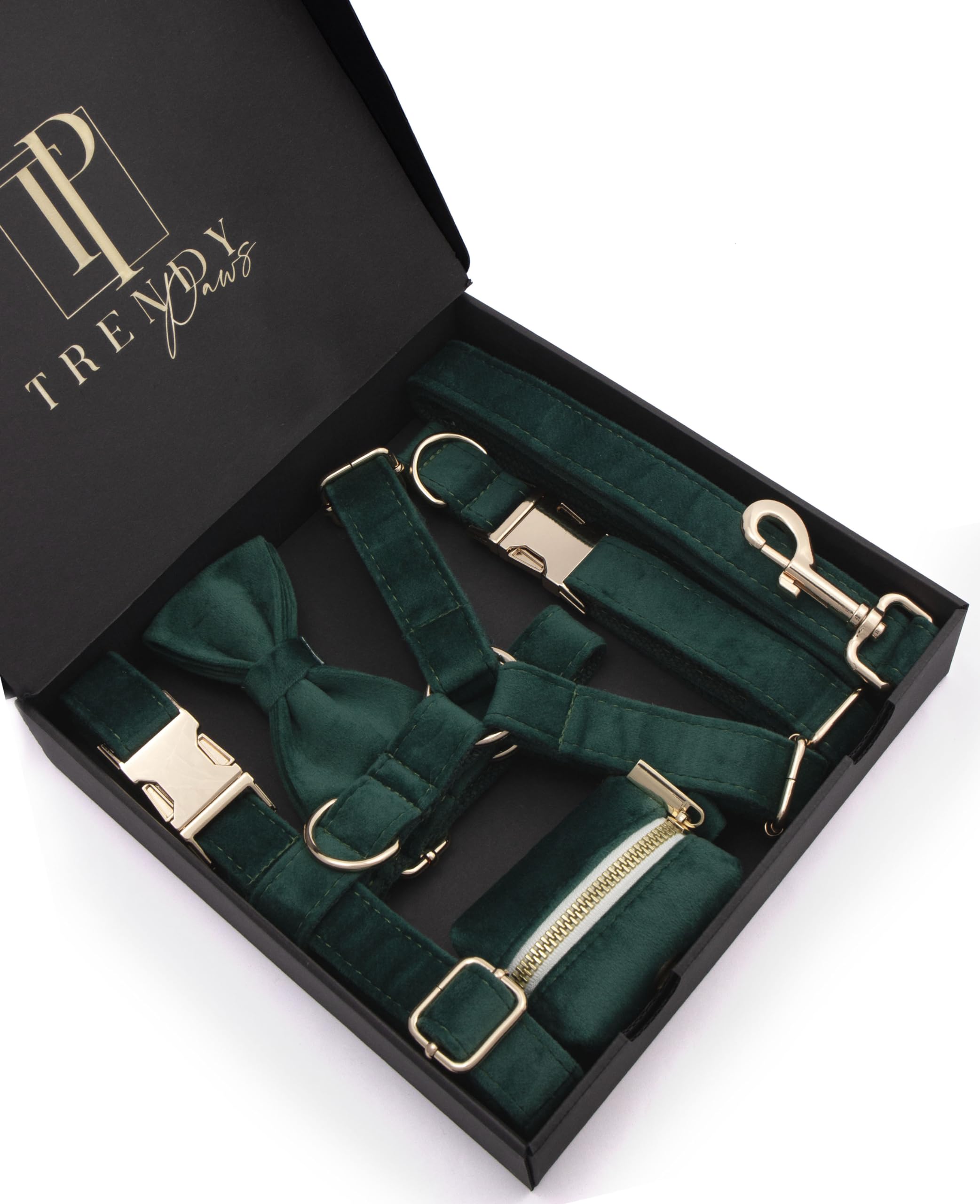 Collier et harnais chien velours vert de luxe : l'ensemble élégant avec laisse et sac assortis