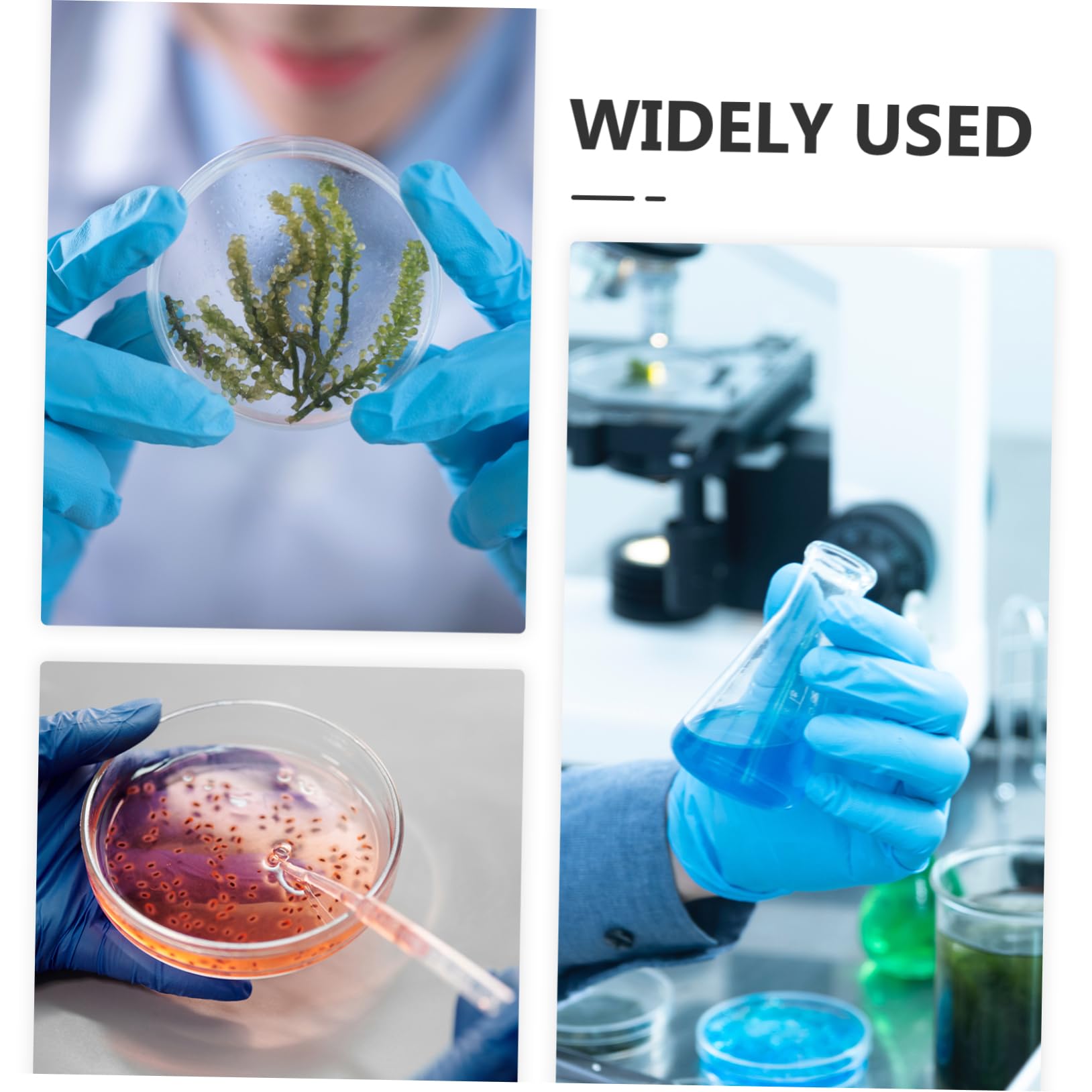 24 Stück 30 Ml Reagenzgläser aus Glas mit Superiorer Abdichtung und Praktischem Deckeldesign Probenröhrchen für Wissenschaftliche Experimente