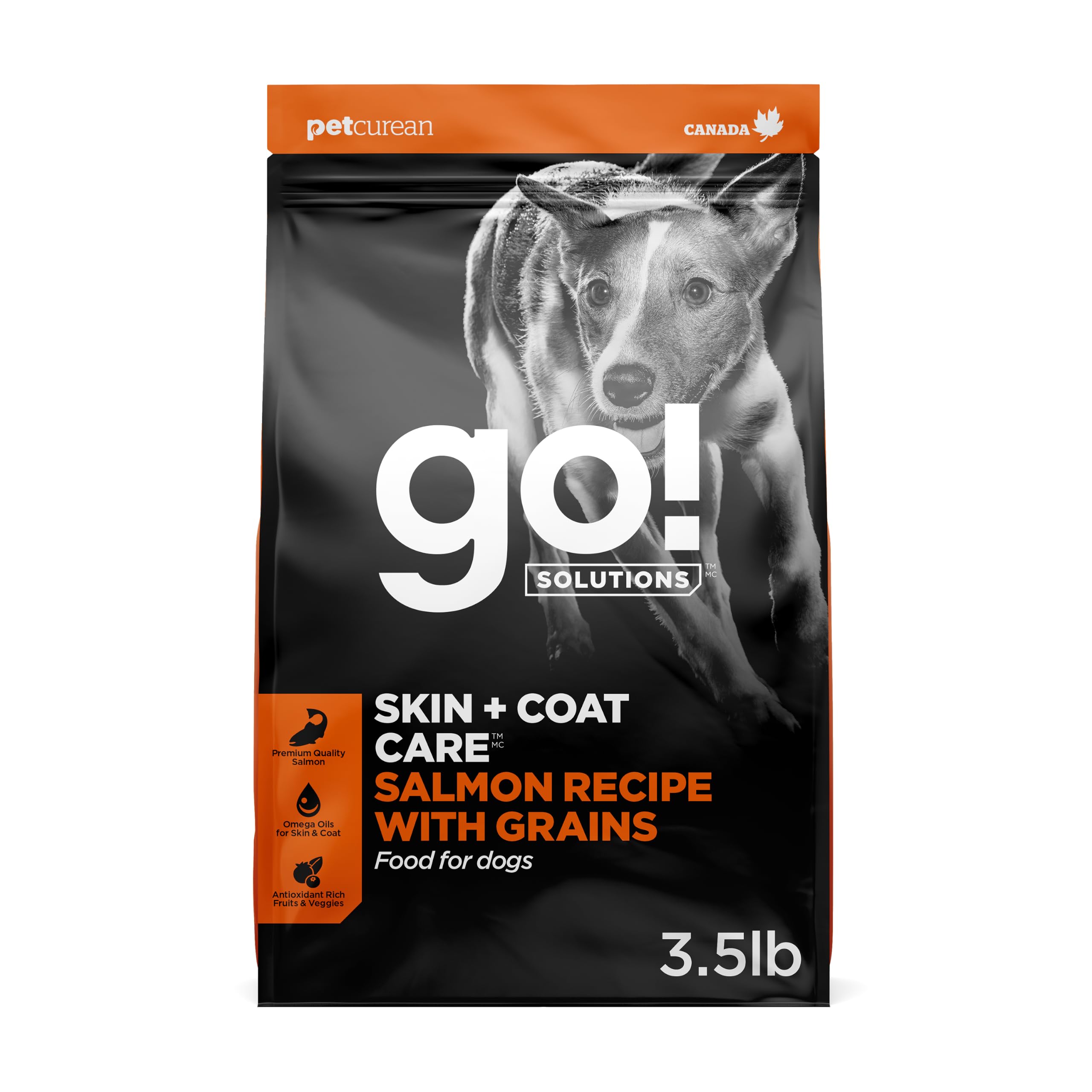 Go! Solutions Skin & Coat Care | Complete Dry Dog Food - Salmon Recipe with Whole Grains