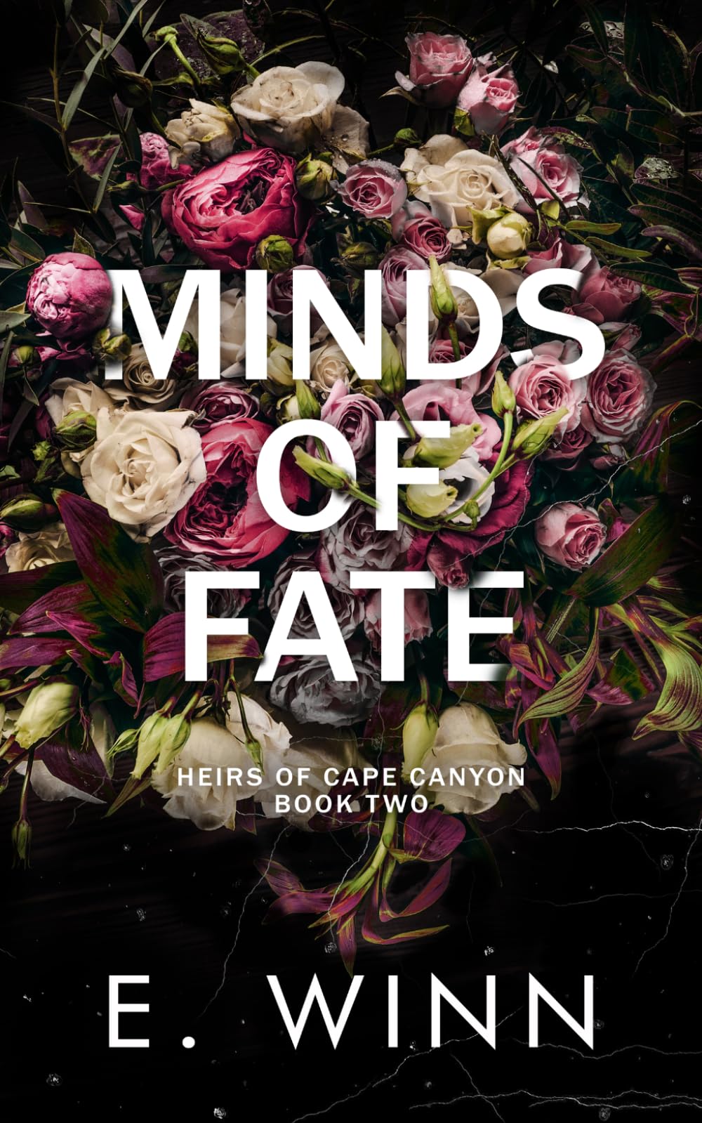 Minds of Fate (Heirs of Cape Canyon)