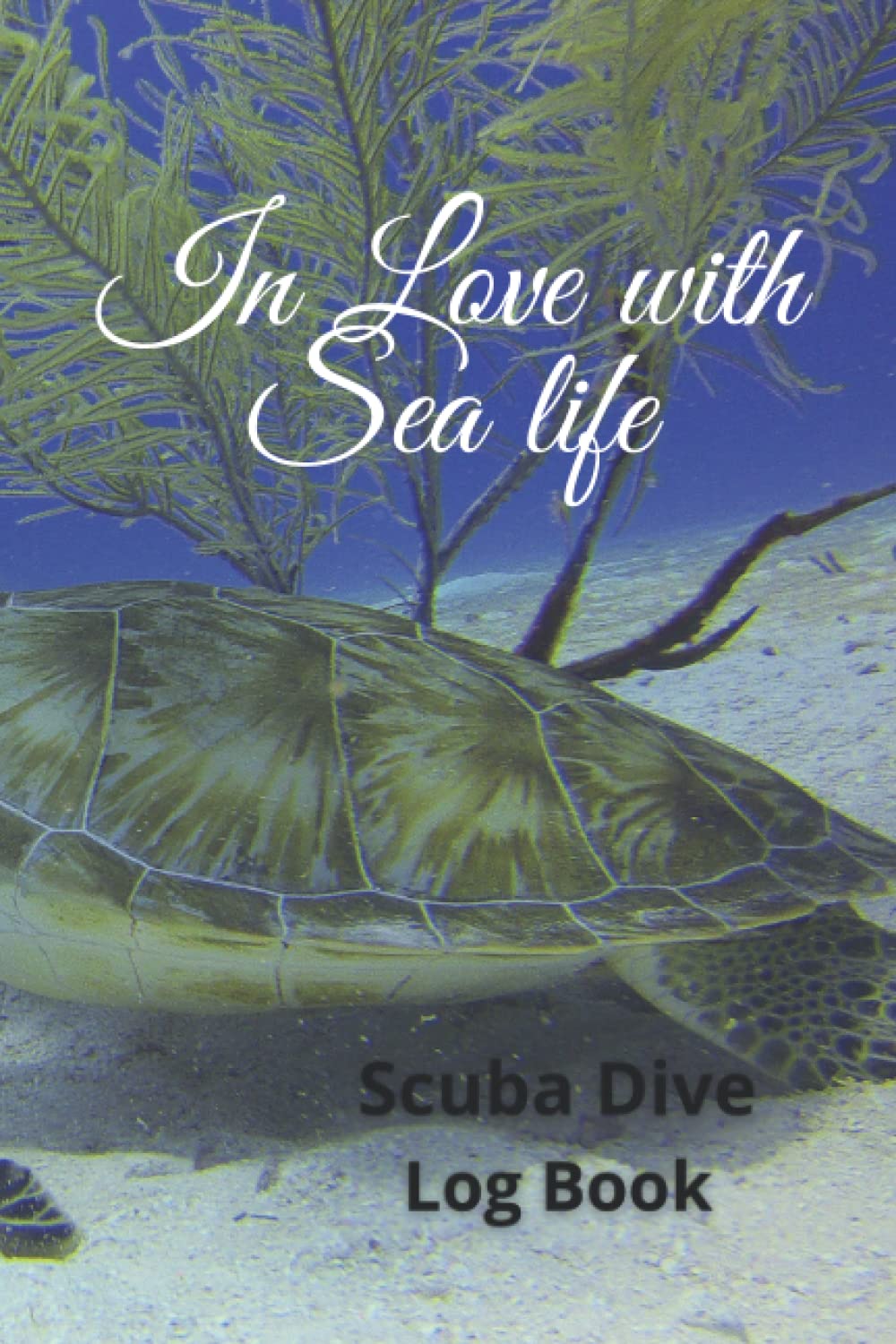 In Love With Sea Life | Scuba Dive Log Book | Experiencing Fun and Underwater Adventure: Diving Session with Dolphins and Green Sea Turtles