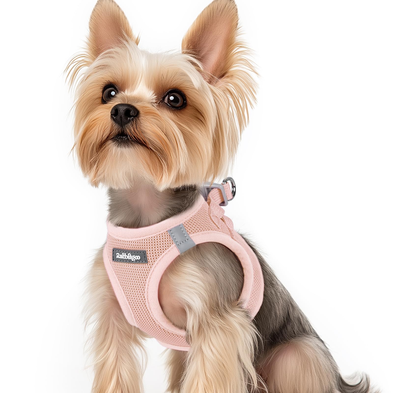 rabbitgoo Hundegeschirr kleine Hunde, Step-in Soft Mesh Hundegeschirr mit Sicherheitsverschluss, atmungsaktives und reflektierendes Welpengeschirr für kleine Hunde
