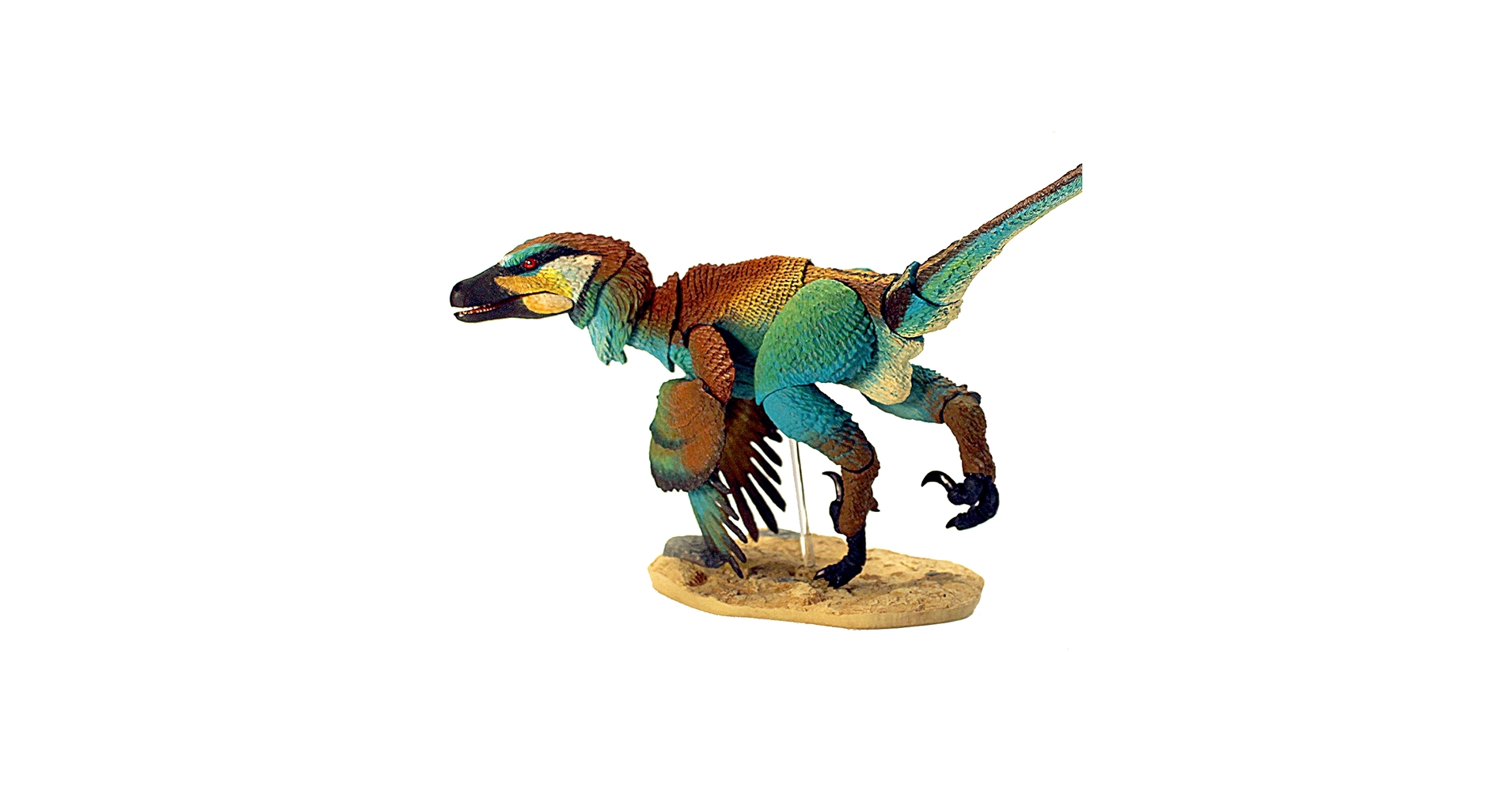 ヴェロキラプトル　限定版　BEASTS OF THE MESOZOIC Amazon.co.jp: 中生代の獣:ヴェロキラプトル オスモルスカエ