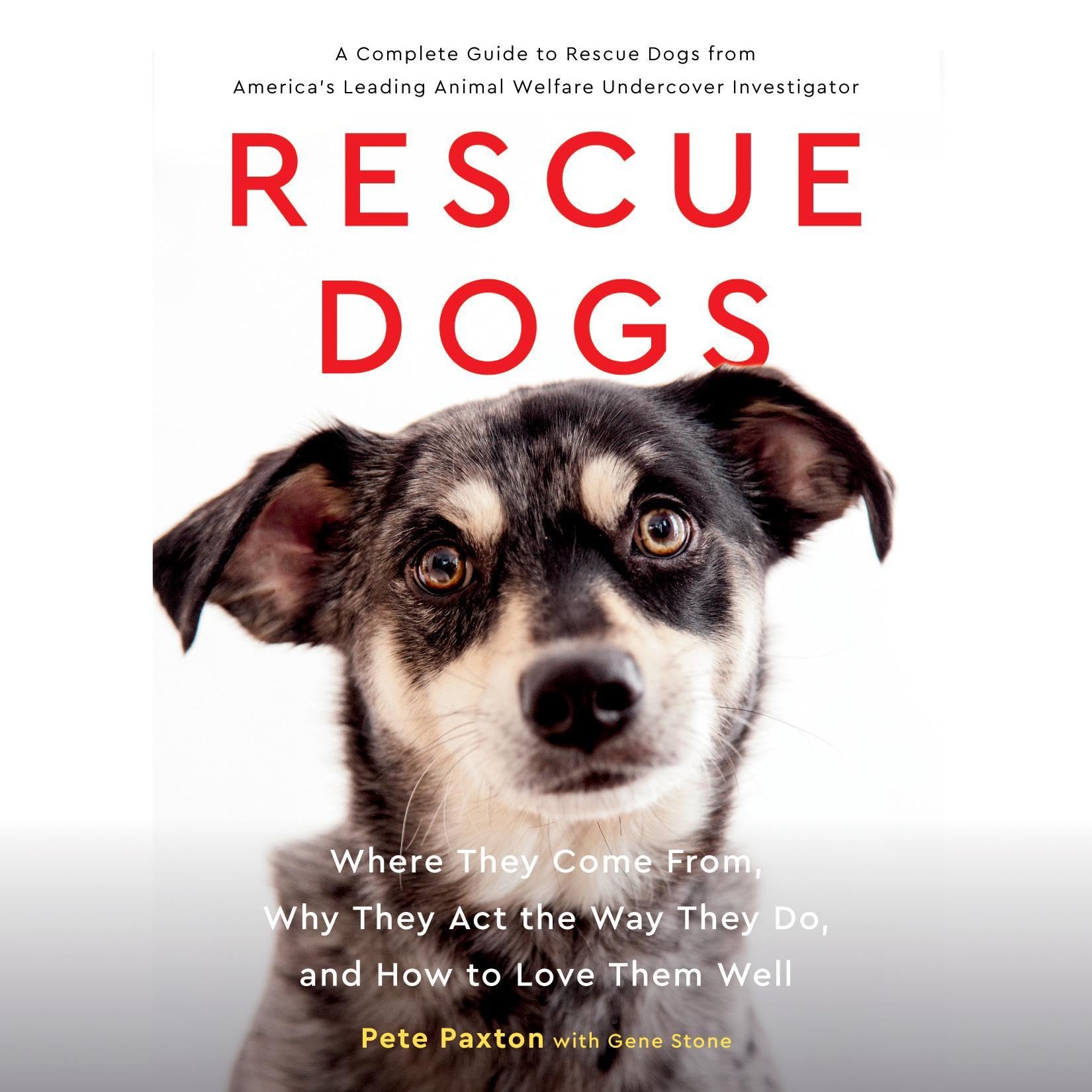 Cover art for Rescue Dogs