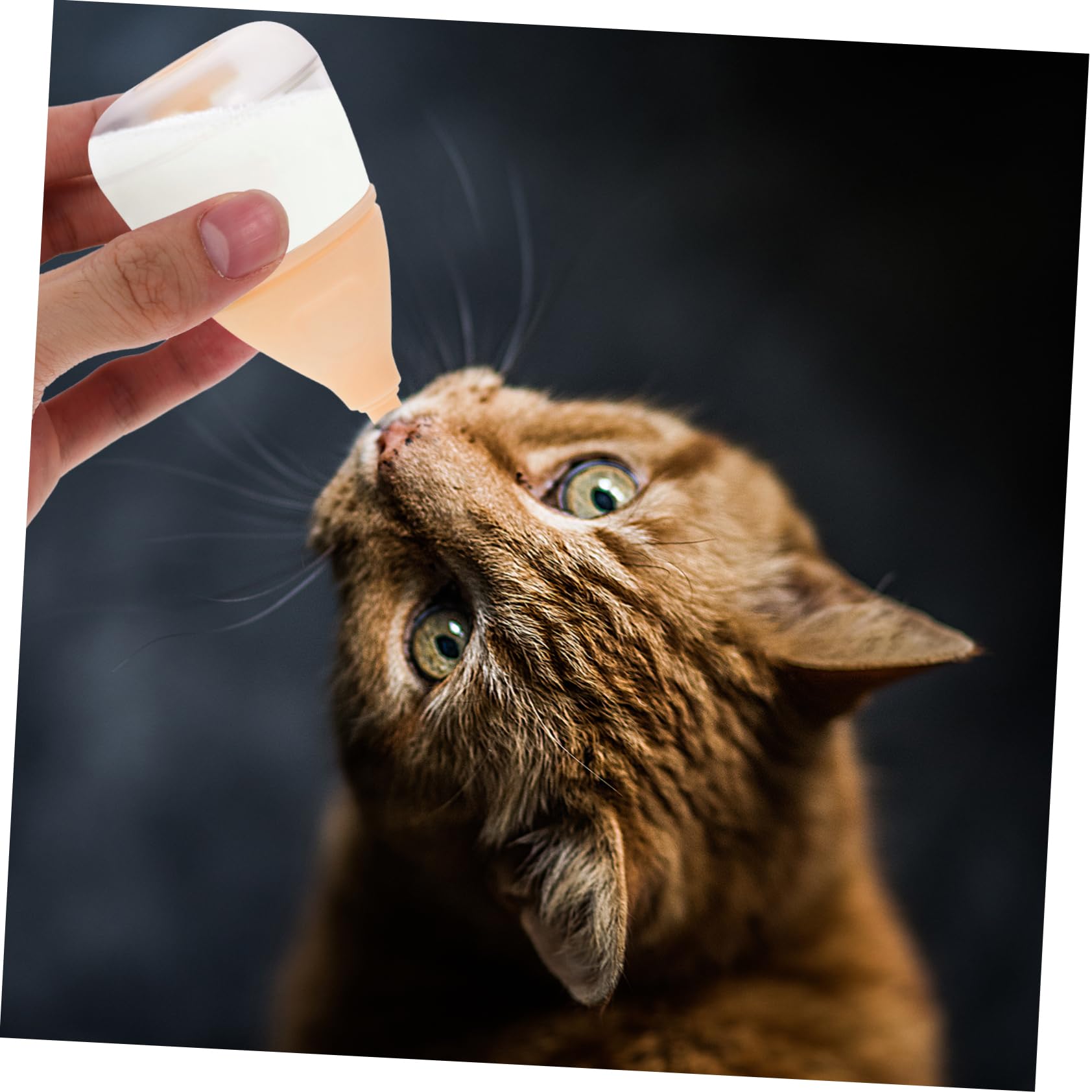 Parliky Pet Bottle Set Small Cat Milk Bottle Reusable Nursing Bottle Household Pet Nurser Puppy Feeding Milk Bottle Cat Feeding Bottles