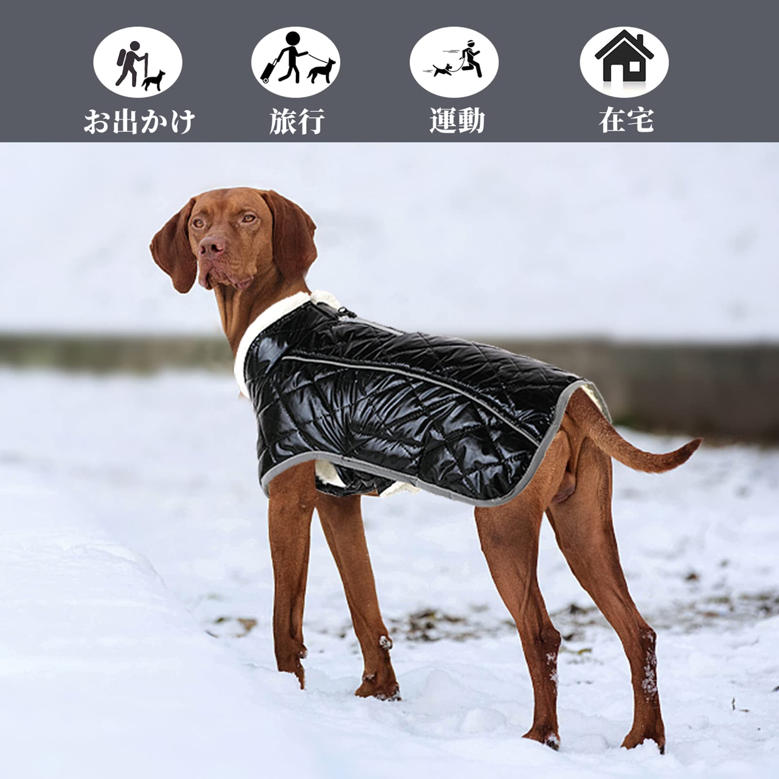 Amazon | Tinsin ペット 冬用服 犬 服 防寒着 コート 犬 ジャケット 