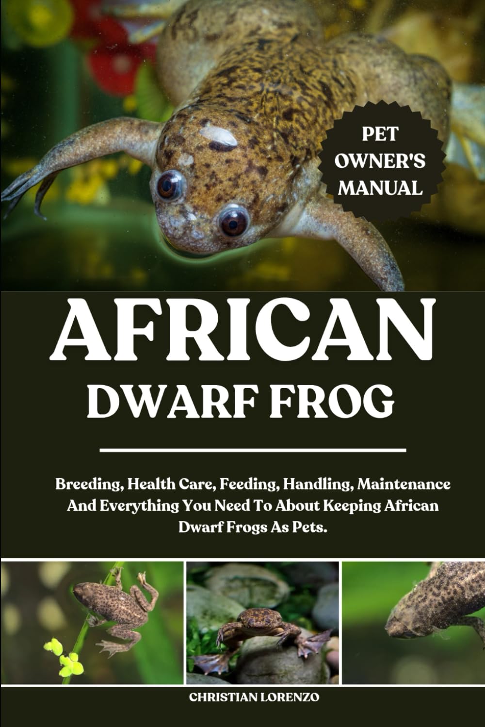 AFRICAN DWARF FROG: Breeding, Health Care, Feeding, Handling, Maintenance And Everything You Need To About Keeping African Dwarf Frogs As Pets.