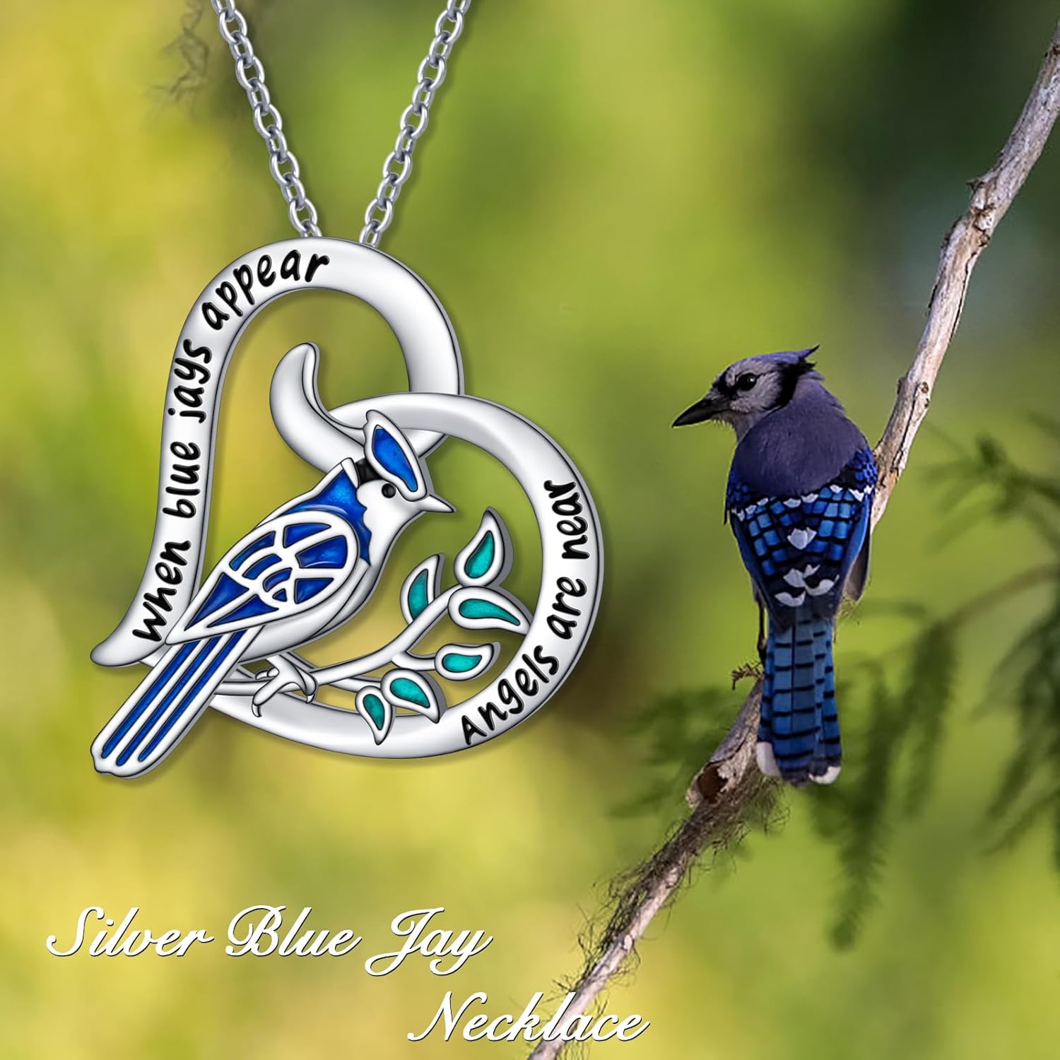 Blue Jay Necklace Sterling Silver Bluebird Heart Pendant Necklace Bird Animal Memorial Jewelry Birthday Gifts for Women Bird Lovers