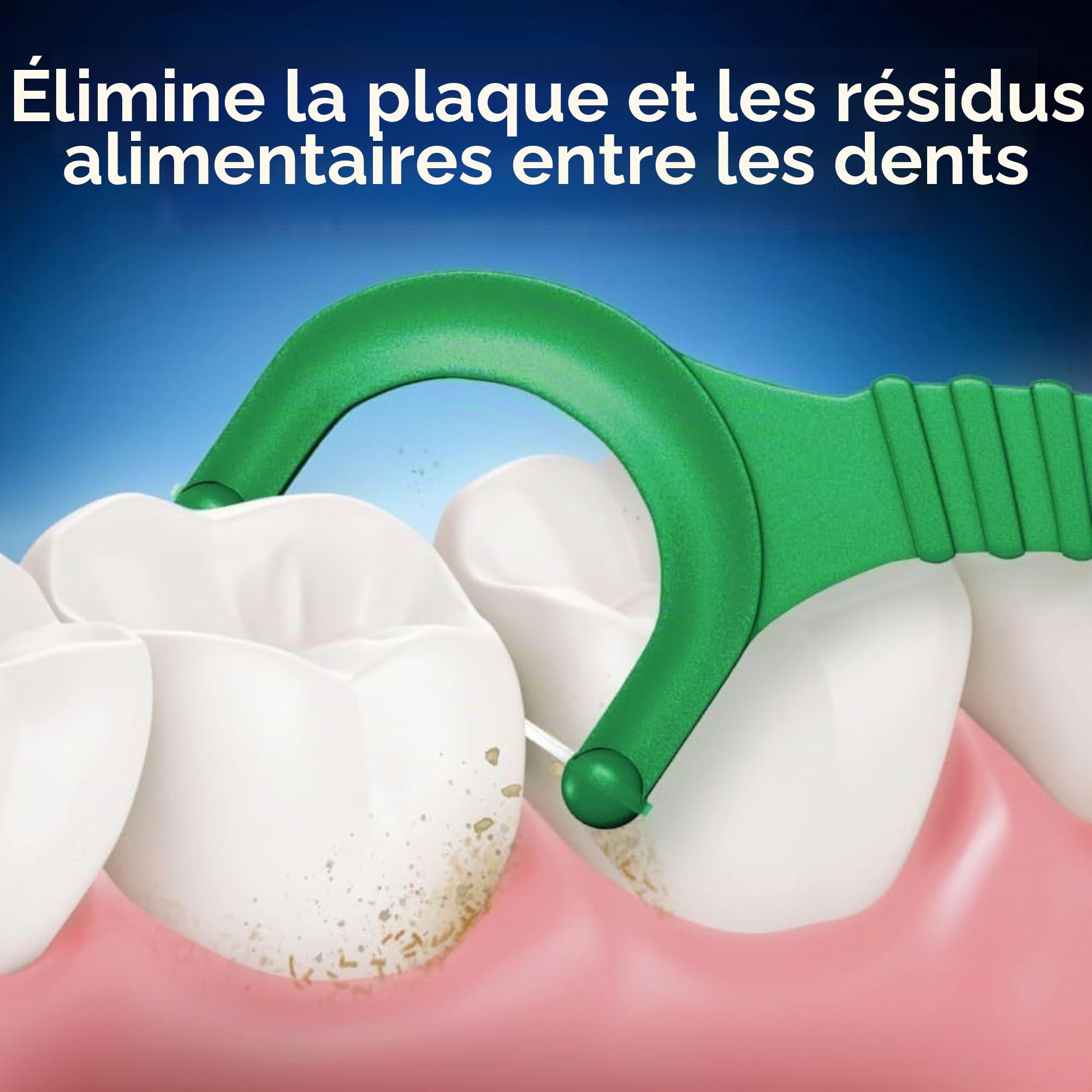 Oral B Plus Scope Outlast Lot de 6 sachets de 75 porte-fils dentaires Menthe longue durée