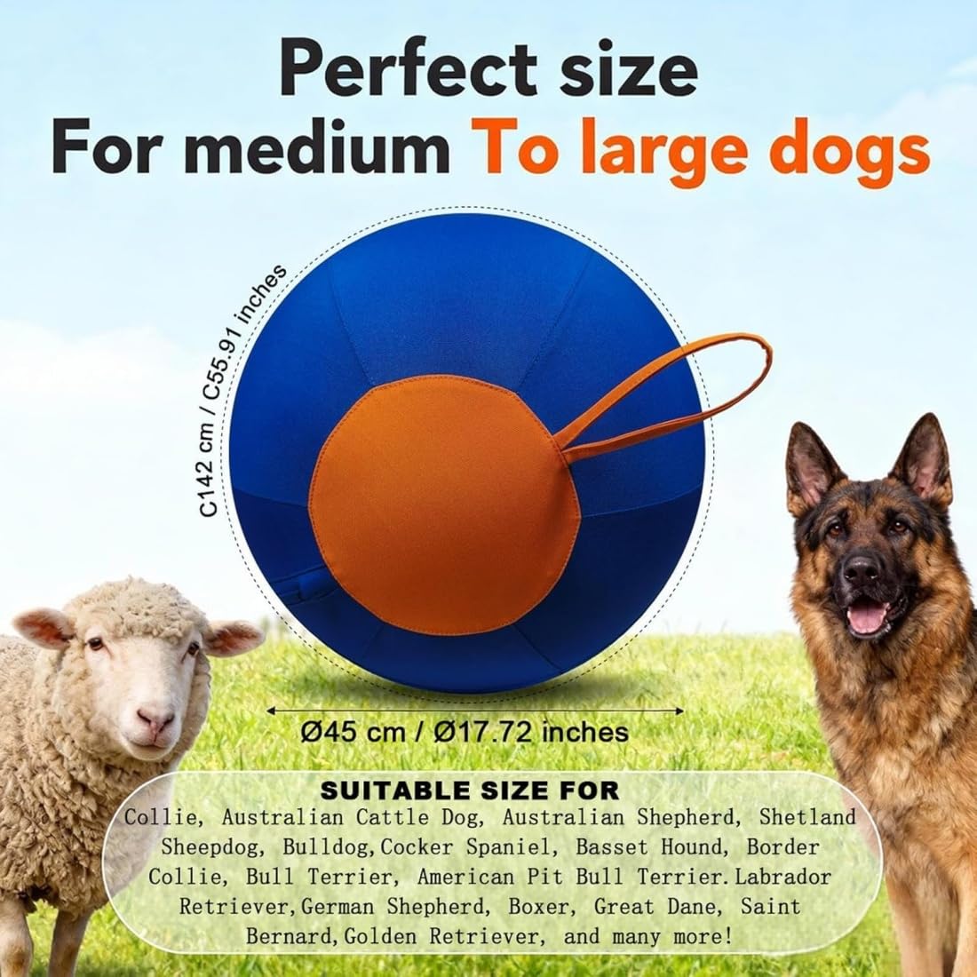 Treibball für Hunde - 45/55/65cm Herding Ball Hund, Extrem robuster & bissfester Treibball für Hütehunde, Interaktives Trainingswerkzeug und Spielzeugball zur Förderung von Bewegung (Blau,65cm)