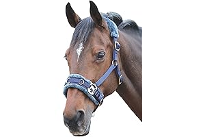 Shires Fleece Lined Lunge Cavesson: Empower Your Horse with Unparalleled Comfort and Control