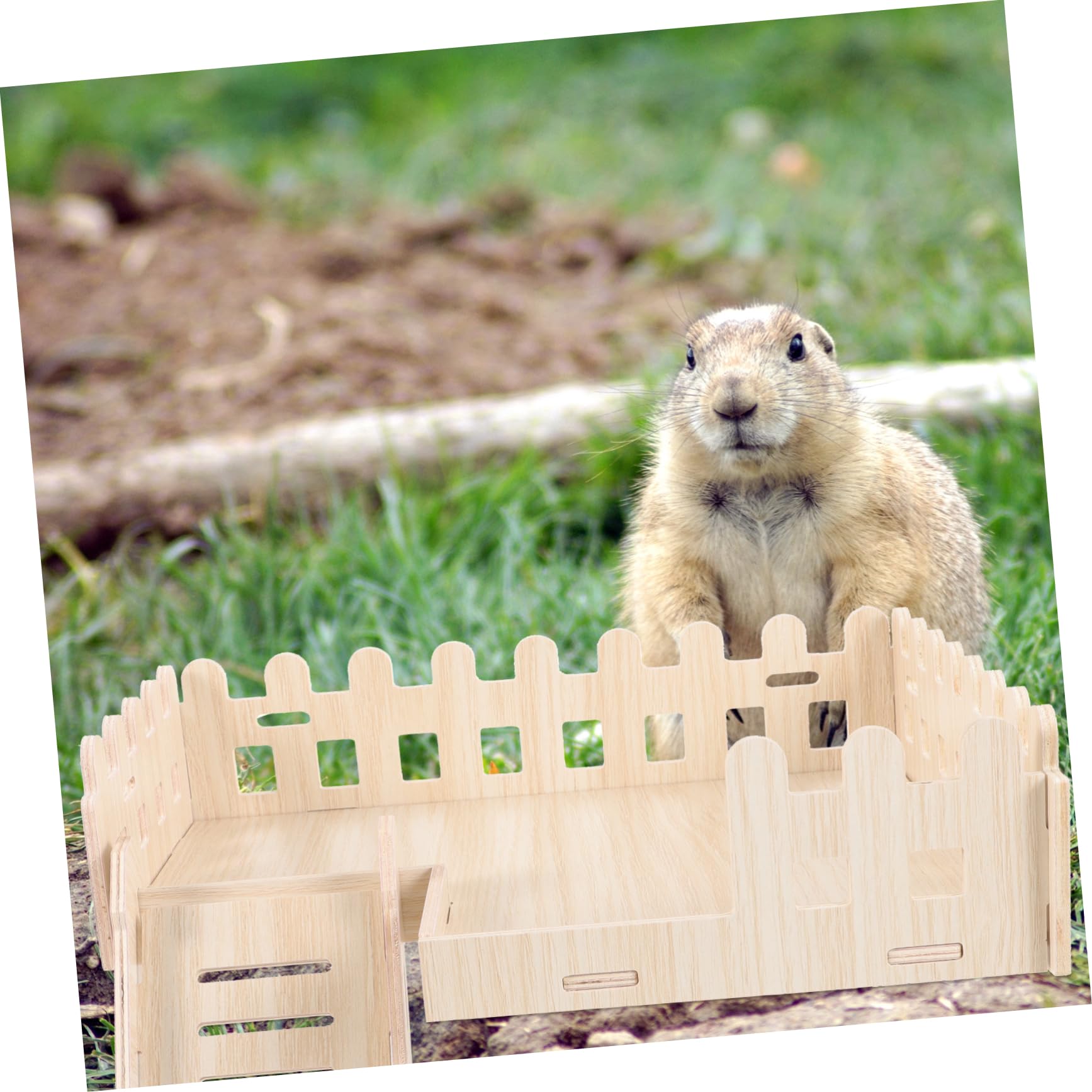 HANABASS 1satz Hamster Holz Plattform Mit Kletterleiter Robustes Käfigzubehör Für Kleine Tiere Für Hamster Meerschweinchen Und Andere Kleintiere Aus Natürlichem Holz Gefertigt