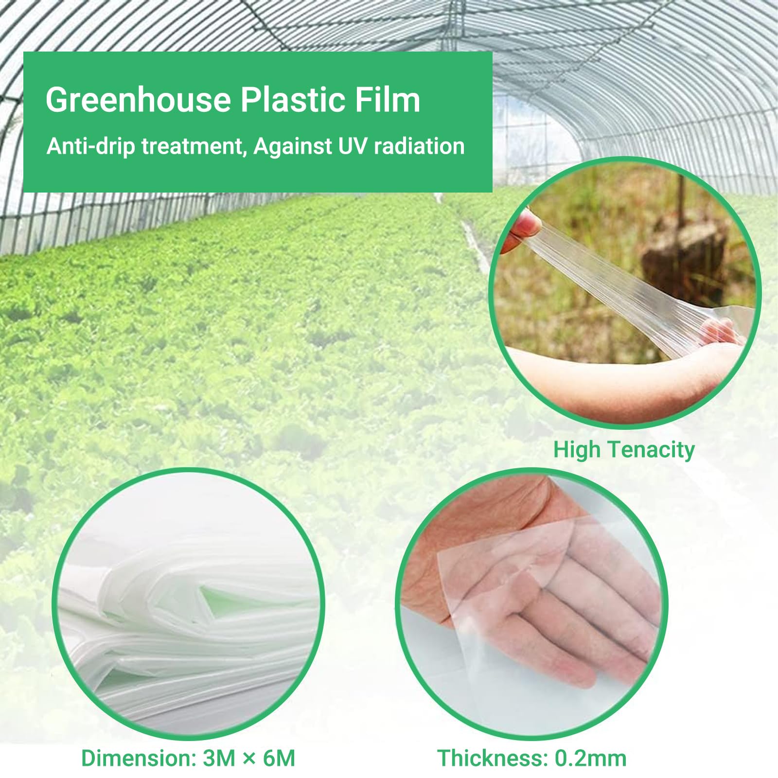 DAZZTIME 3x6M Bâche de Protection en Polyéthylène,Film à Effet De Serre,Bache Plastique Transparente,Résistant Couverture de Polytunnel,pour Protection Serre de Plante de Jardin(200Mu/1000G)